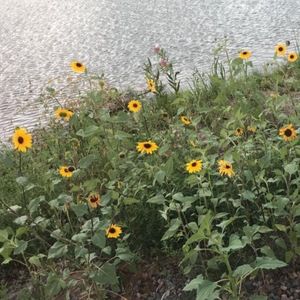 Meet your Posher, Dania